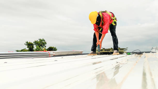 Best Solar Panel Roofing Installation  in Bigfoot, TX