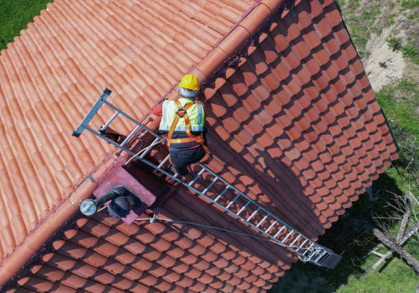 Best Skylight Installation and Repair  in Bigfoot, TX