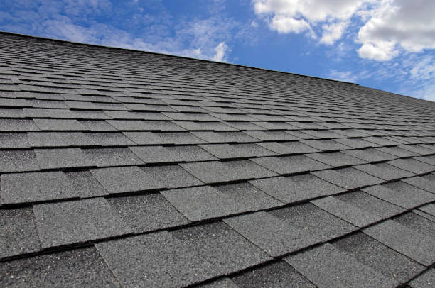 Best Roof Maintenance and Cleaning  in Bigfoot, TX